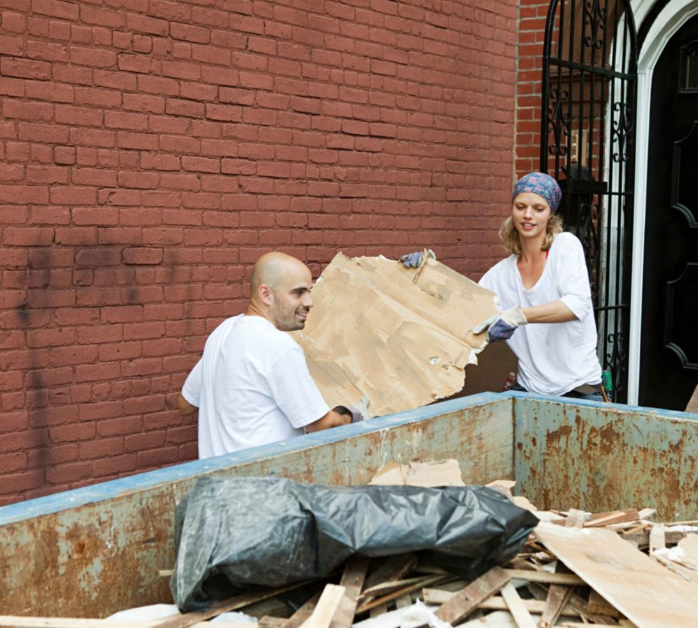 two-people-working-together-on-a-community-cleanup-2024-05-28-23-40-03-utc (1)